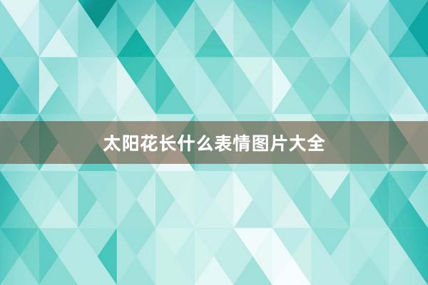 太阳花长什么表情图片大全
