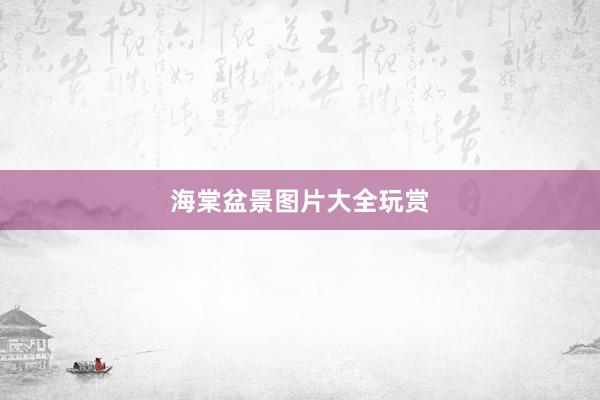 海棠盆景图片大全玩赏