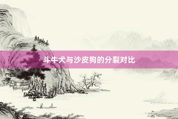 斗牛犬与沙皮狗的分裂对比